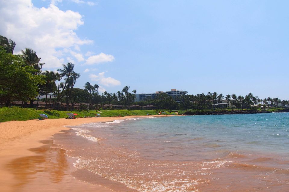 South Maui: Beach Parks Self-Guided Driving Tour - Flexibility and Convenience