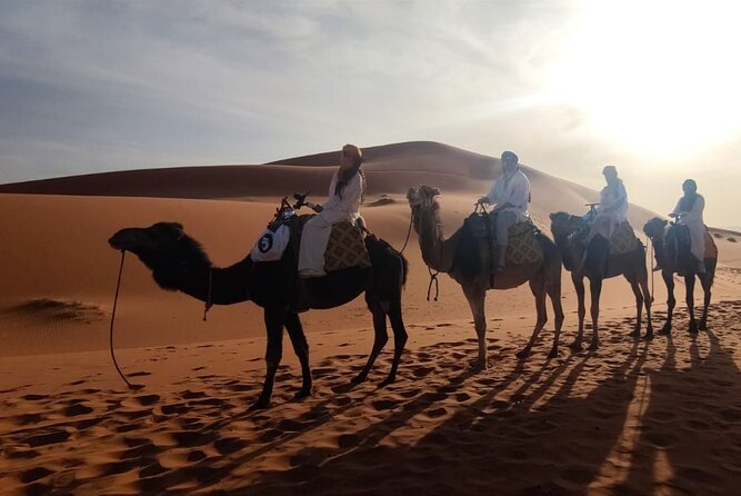 Sunset in Merzouga Sahara Desert & Camel Ride Erg Chebbi Dunes - Reviews and Feedback