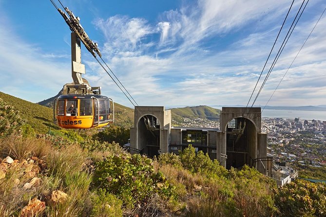 Table Mountain, Penguins Colony and Cape of Good Hope Small Group Shared Tour - Recommended Preparations