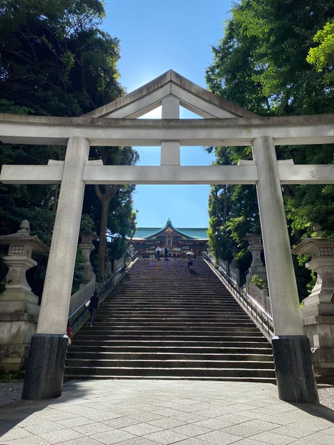 Tameike: Exploring the Heart of Japanese Politics Tour - Health Precautions and Footwear