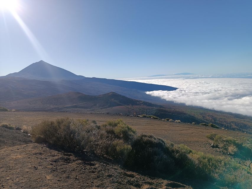 Tenerife: Teide & Stars + Guachinche Lunch + Cava Vip Tour - Inclusions