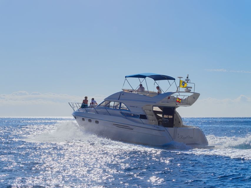 Tenerife: Whales and Snorkeling Tour on a Luxury Yacht - Customer Reviews and Ratings