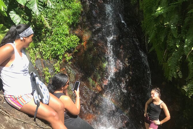 The El Yunque Hike Adventure to Las Tinajas Waterfall From Fajardo - Booking and Accessibility Information