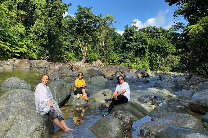 The El Yunque Rainforest Guided Day Tour From San Juan - Positive Guest Reviews