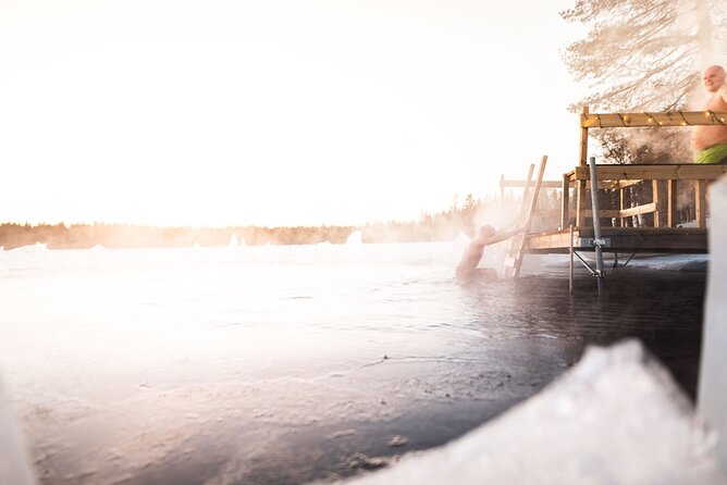 The Ultimate Lappish Adventure, Full Day Tour, Meals Included - Reviews and Recommendations