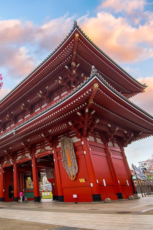 Tokyo Private Sightseeing Tour W/English Speaking Driver - Meiji Shrine