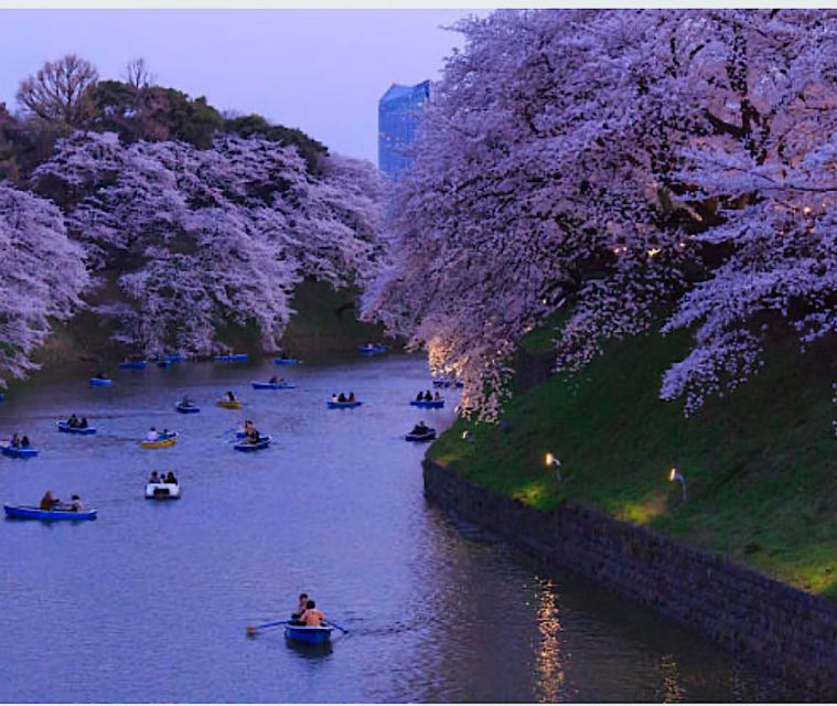 Tokyo Private Tour: Customizable (Up-To 6 Persons) - Customizable for Up-To 6