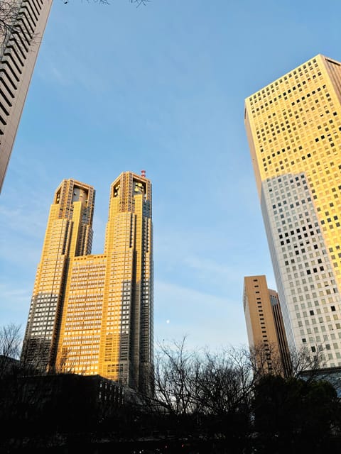 Tokyo: Shinjuku Panorama & Peace Tour With Izakaya Dinner - Relaxing in Shinjuku Central Park