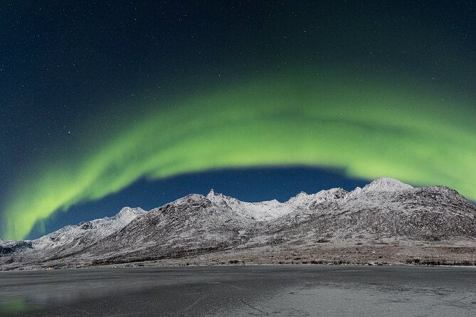 Tour in Search of the Northern Lights in Tromso - Highlights of the Experience