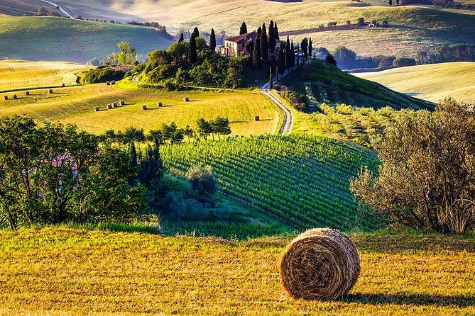 Tuscan Food and Wine Tour of Val Dorcia From Florence - Free Time in Destinations