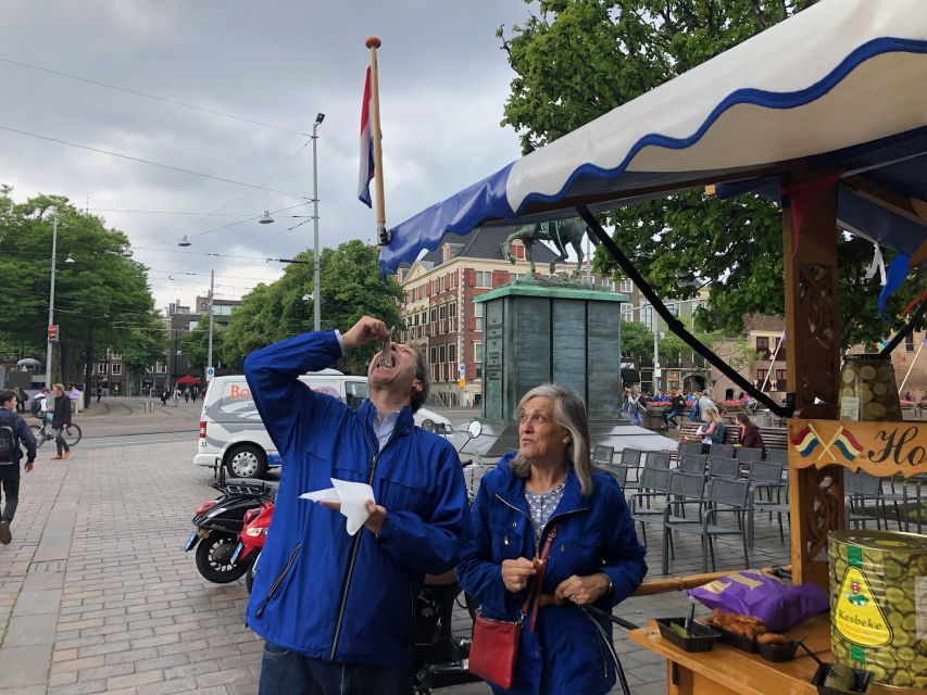 Vermeer'S Girl With the Pearl Earring & Rembrandt'S Leiden - Rembrandts Birthplace