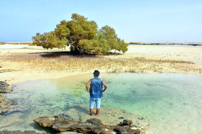 Wady Elgemal National Park Marsa Alam - Maximum Travelers Allowed