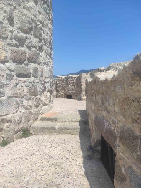 Walking Tour of Halicarnasos & Bodrum St Peters Castle - Inclusions and Pricing