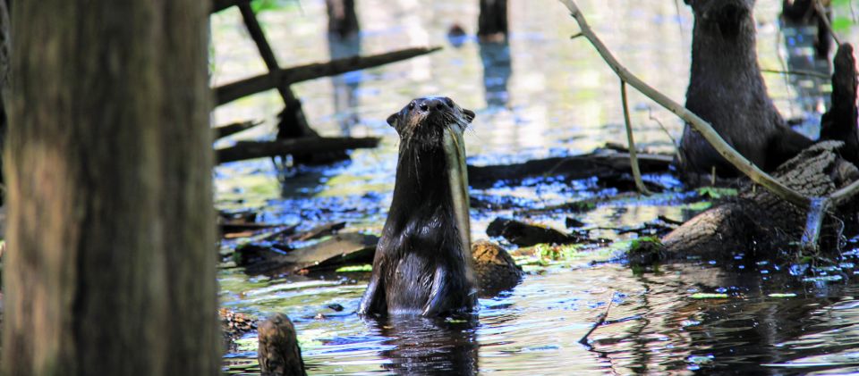 Wekiva Wildlife Kayaking Adventure Tour - Cancellation Policy