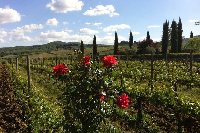 Wineries Tour and Wine Tastings in Chianti Hills From Florence - Behind-the-Scenes Winery Tour