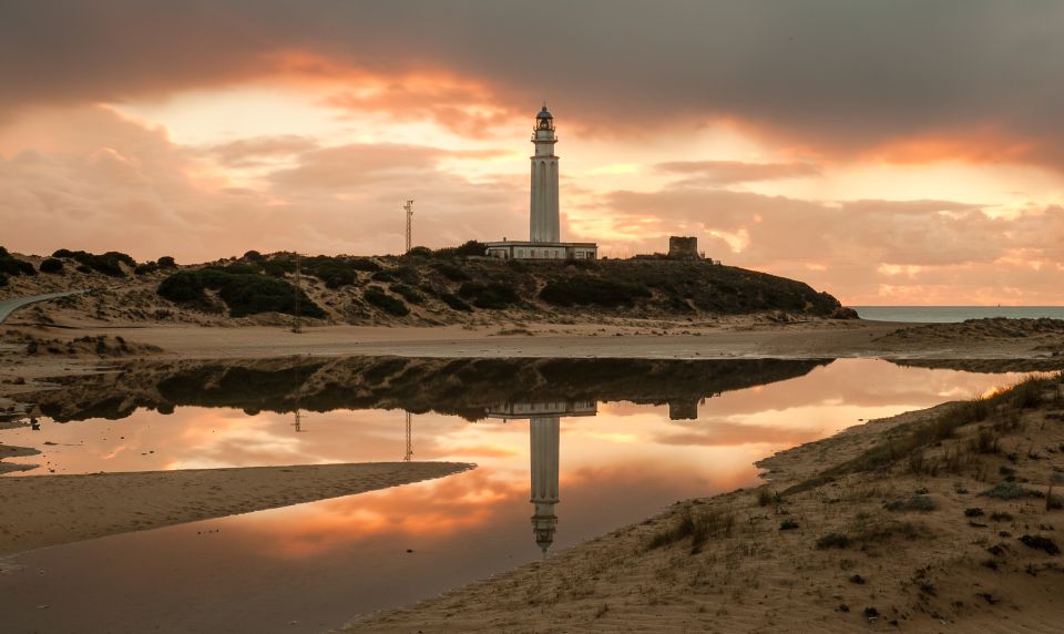 1 Day for Vejer and the South Beaches of Cádiz in SUV (4x4) - Tips for a Great Experience