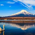 1 Day Trip: Mt Fuji + Kawaguchi Lake Area Tour Overview And Pricing