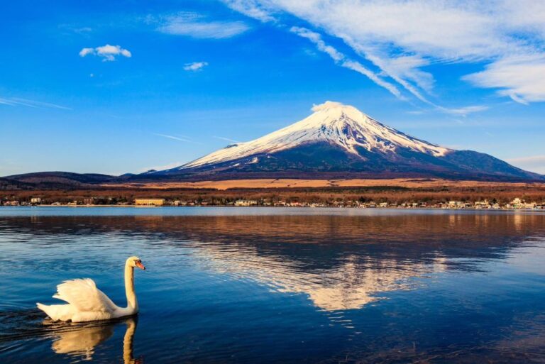 1 Day Trip: Mt Fuji + Kawaguchi Lake Area Tour Overview And Pricing