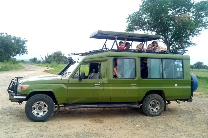 3 Days Safari to Mikumi NP - Accommodation Inside the Park - Additional Information