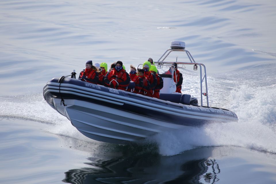 Akureyri: 2–Hour Whale Watching Express by RIB Speedboat - Additional Information