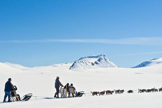 Alaska Helicopter and Glacier Dogsled Tour - ANCHORAGE AREA - Additional Details