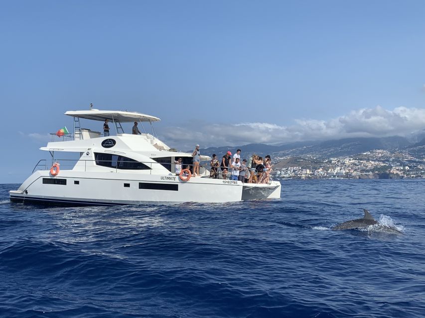 All Inclusive Whale and Dolphin Watching Luxury Tour - Meeting Point and Directions