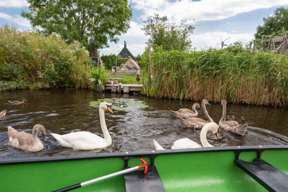 Amsterdam 5-Hour Guided Canoe Trip in the Wetlands - What to Expect on the Tour