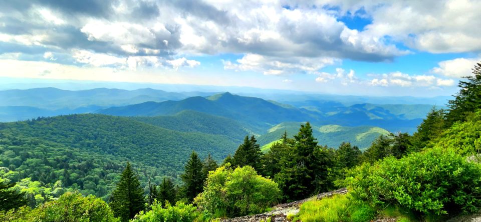 Asheville: Hidden Gems Tour in The Blue Ridge Mountains - Getting to the Trailhead