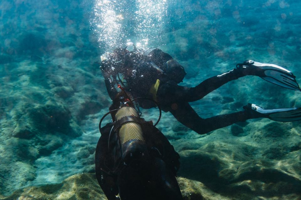 Atlántico Museum: Scuba Dive Lesson for Non-Certified Divers - What to Expect