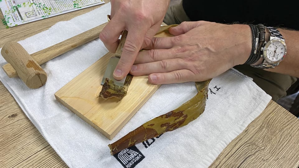 Authentic Handmade Washi Paper Making Workshop in Ueno - Private Group Experience