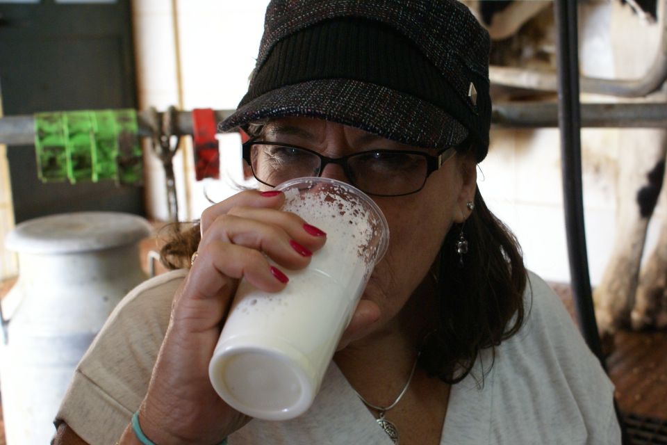 Azores: Day at the Farm With Outdoor Traditional Lunch - Azores Agricultural Economic Foundation