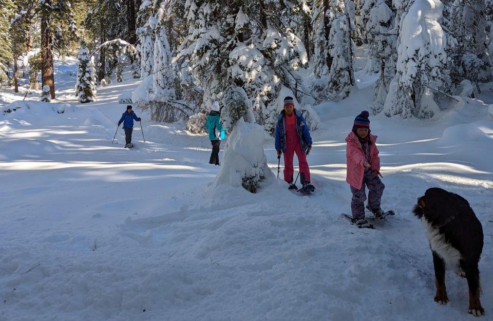 Beginner and Family Snowshoe Tour - Reservation and Cancellation Policy