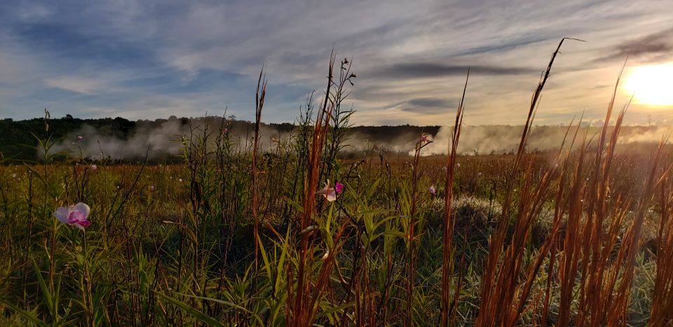 Big Island: Private Volcano Tour - Volcanoes Natl Park - Frequently Asked Questions