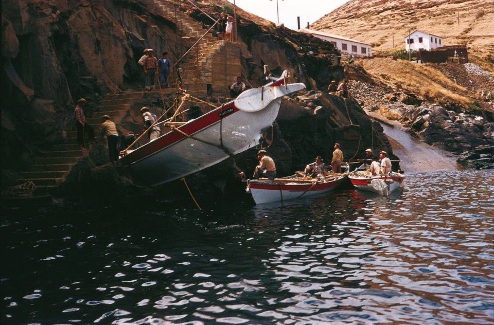 Canical: Madeira Whale Museum Entry Ticket and Private Tour - Partnership With Whale Museum