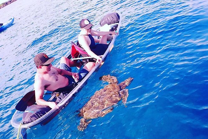 Clear Kayak and Snorkel Tour at Turtle Town, Makena - Convenient Location and Meeting Point