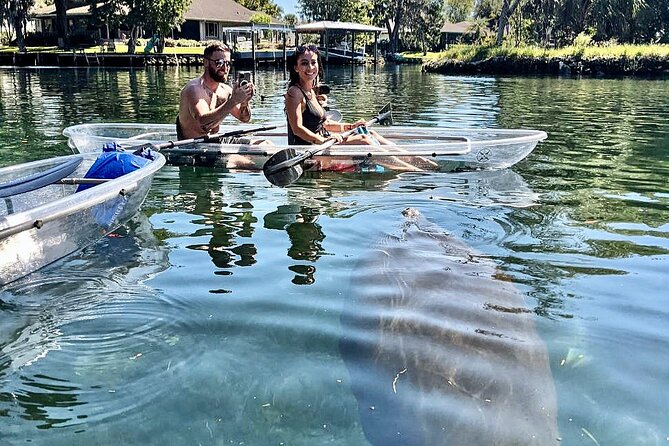 Clear Kayak Tour of Crystal River - Additional Details