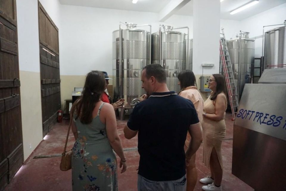 Crete: Full-Day Cretan Wines, Olive Oil, Raki and Food Tour - Customer Feedback