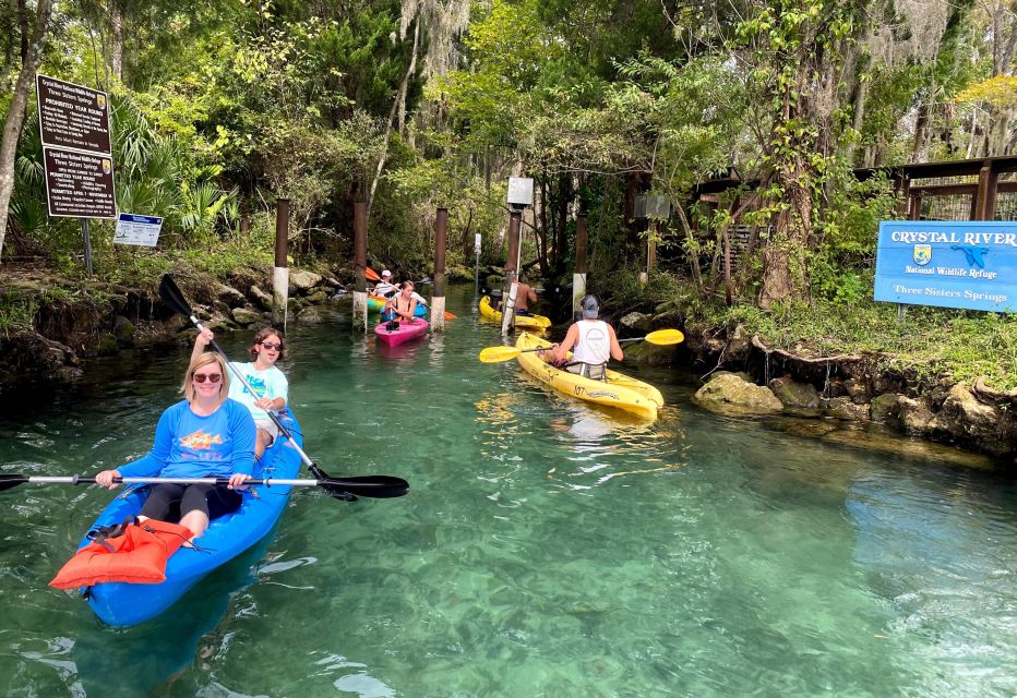 Crystal River: Three Sisters Springs Guided Kayak Tour - Unique Features of the Springs