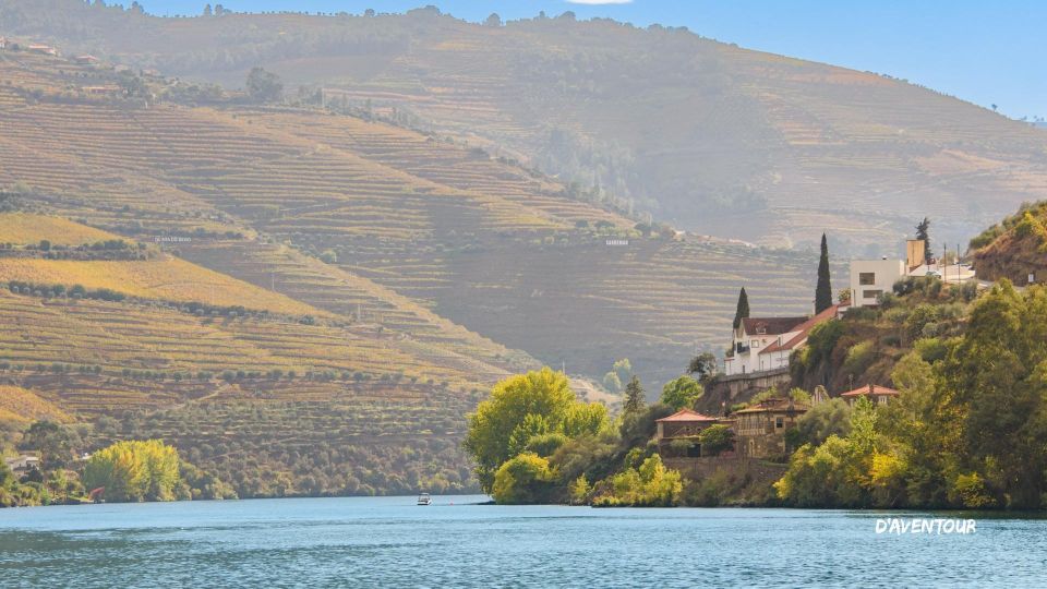 Discover Authentic Douro With Daventour - Flexible Booking and Cancellation