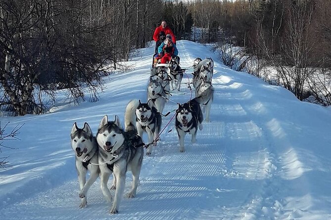 Dogsledding, Near Akureyri - Breathtaking Natural Landscapes