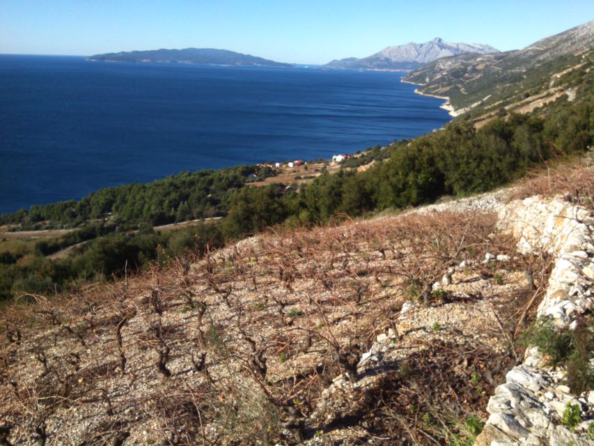 Dubrovnik: Deep Red Wine Tour of Pelješac - Wine Tasting Experience