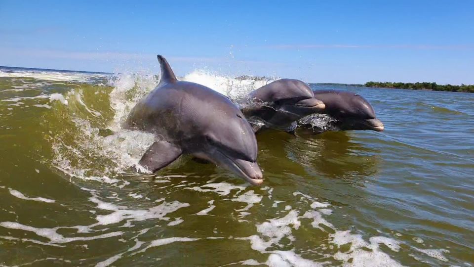 Everglades National Park: Motorboat Eco Tour - Cancellation Policy