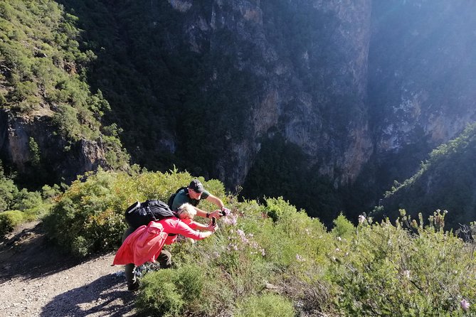 Excursion to Akchours Bridge of God (From Chefchaouen) - Local Wildlife Observation