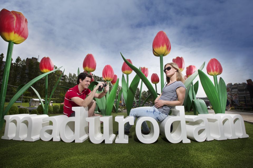 From Amsterdam: Kinderdijk and the Hague Tour With Museums - Discovering Dutch Masterpieces