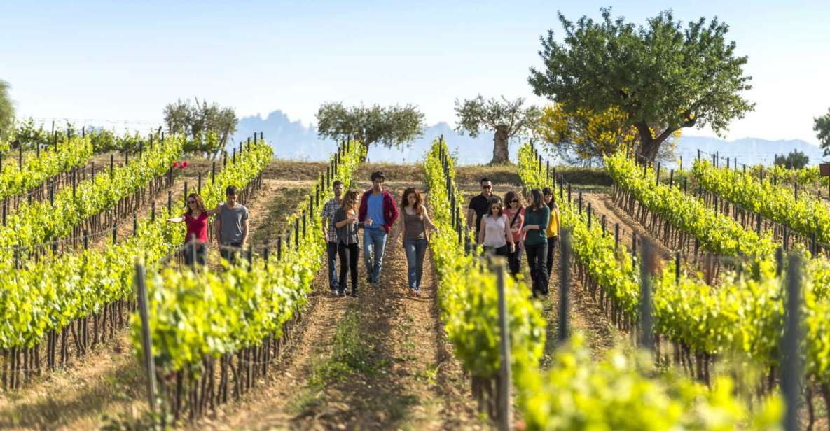 From Barcelona: El Penedès Hike and Wine Tour - Additional Tips