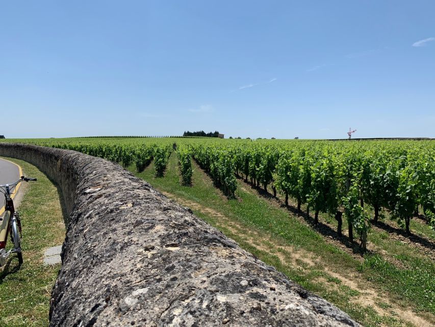 From Bordeaux: Saint-Emilion Guided Wine Tasting Tour - Tour Schedule and Punctuality