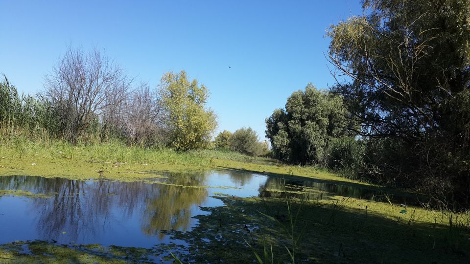 From Bucharest: 3-Day Danube Delta Birdwatching Private Tour - Additional Highlights of the Tour