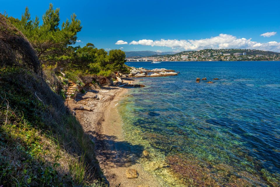 From Cannes: Round-Trip Ferry to Ste. Marguerite Island - Visiting the Iconic Fort Royal