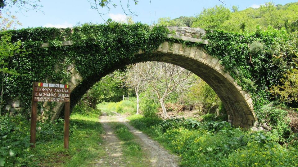 From Lasithi Area: Richtis Gorge Experience - Tour Suitability