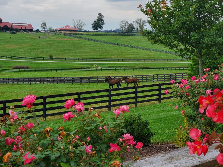 From Lexington: Kentucky Horse Farms Tour - Knowledgeable Local Guide